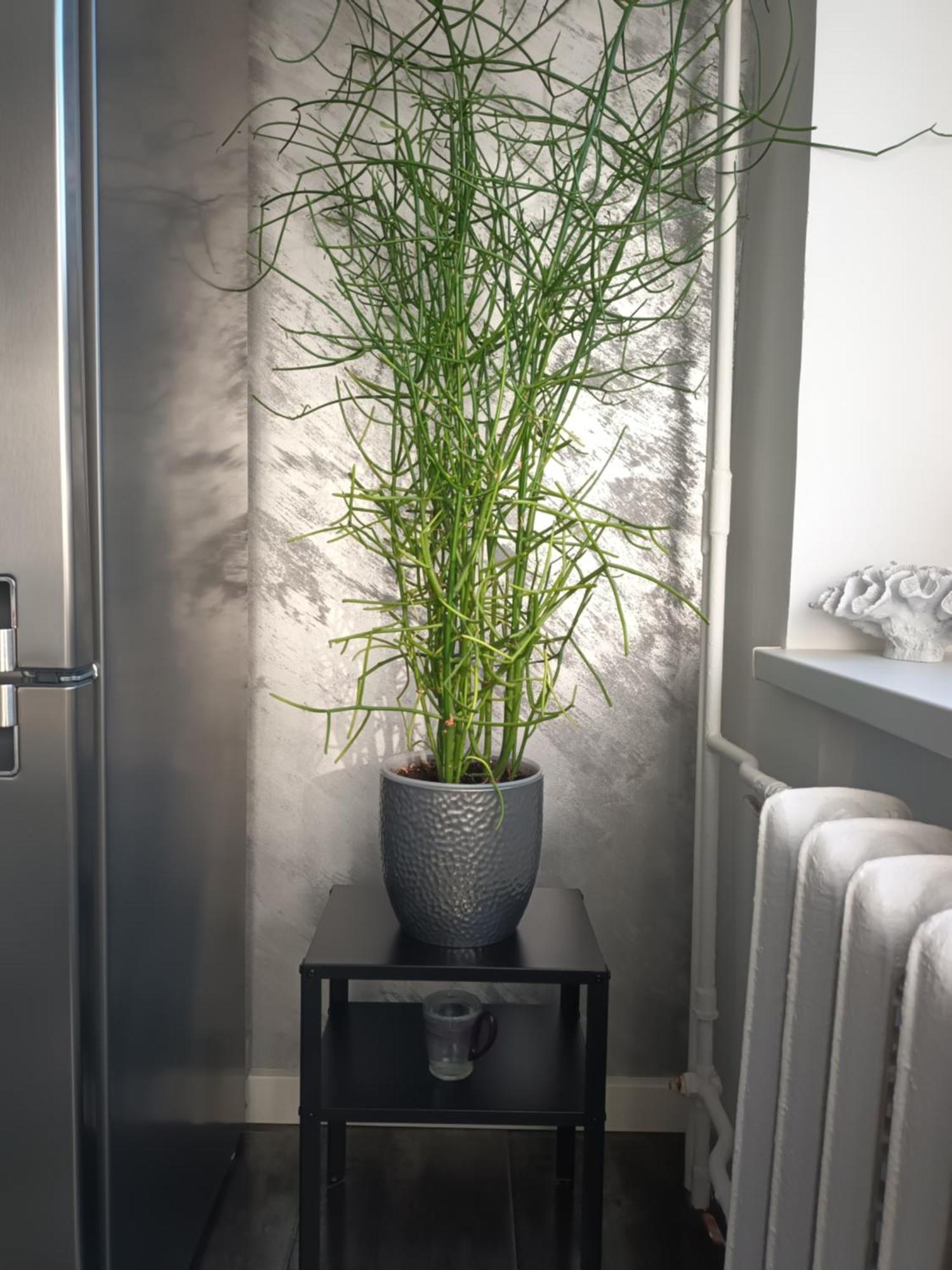 Apartment Tallinn Luaran gambar